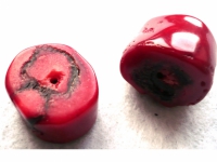 Corail Terre de feu (Asie)