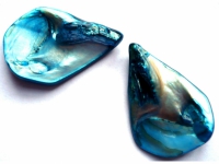 Coquillages teintés